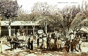 733- Castiglione - le marche
